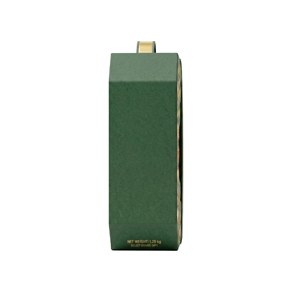 Side profile of a green suitcase-style dry fruits packaging box with top handle.