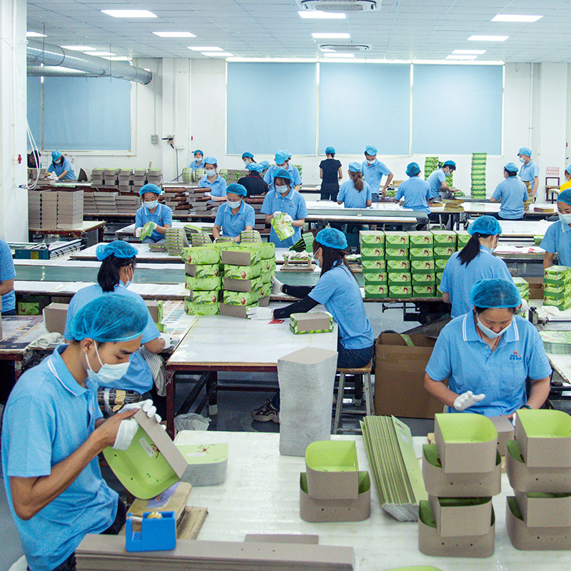 Factory-Direct Pricing & Scalable Production