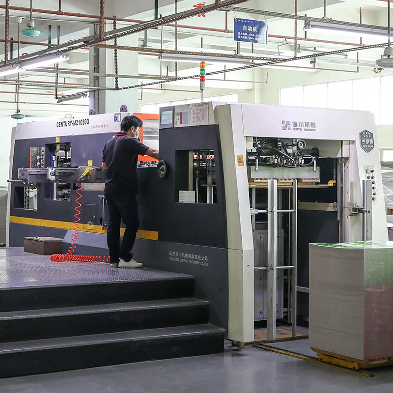 Automatic Die-cutting and Stripping Machine