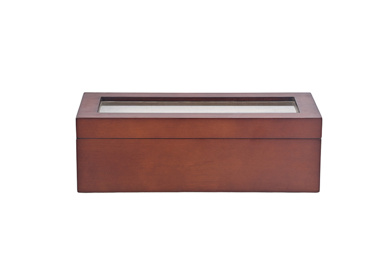 watches case