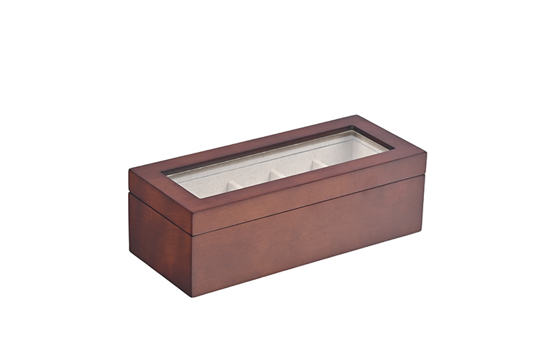 case for watches