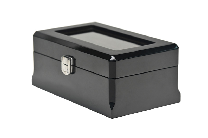 watches cases