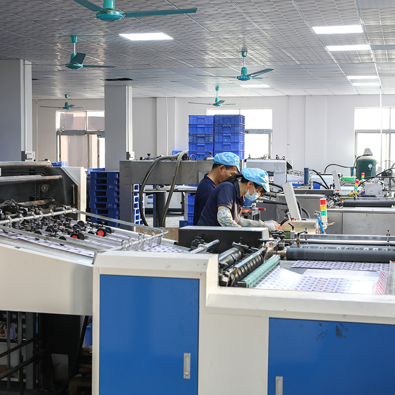 Automatic Die-Cutting and Creasing Machine