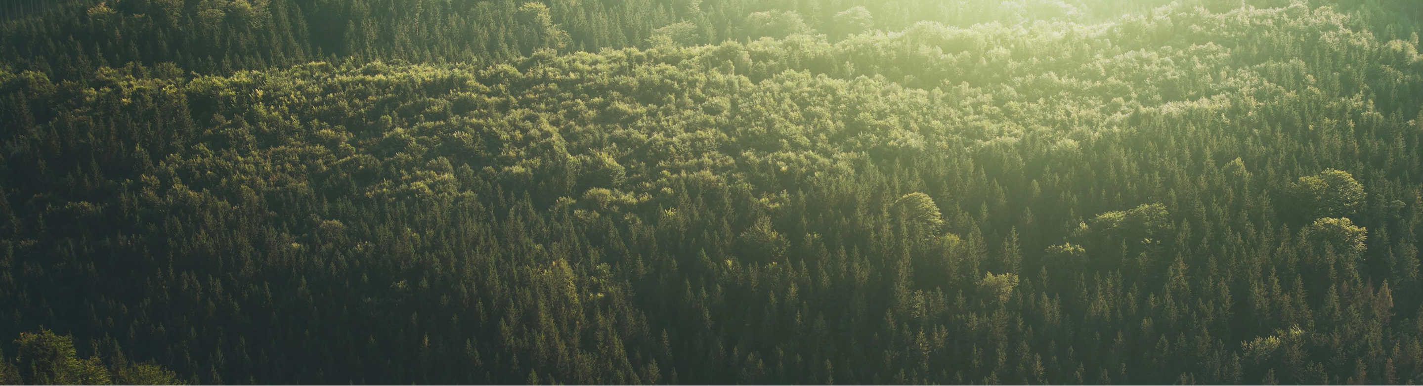 Committed to Green Manufacturing, Responsible Sourcing, and a Sustainable Future for Your Brand.